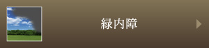 緑内障