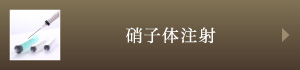 硝子体注射